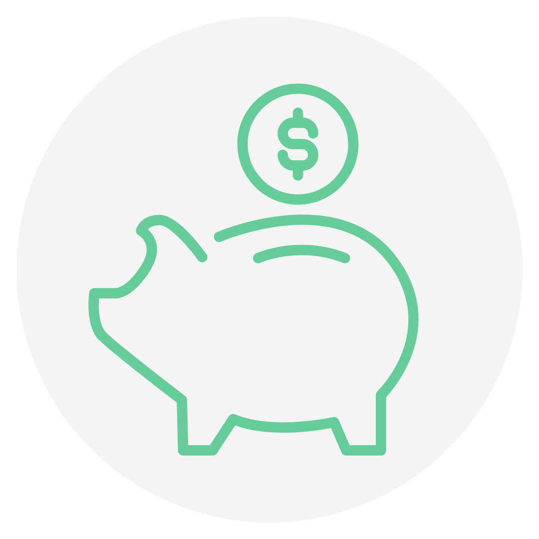 Icon Sparsam in hellgrün