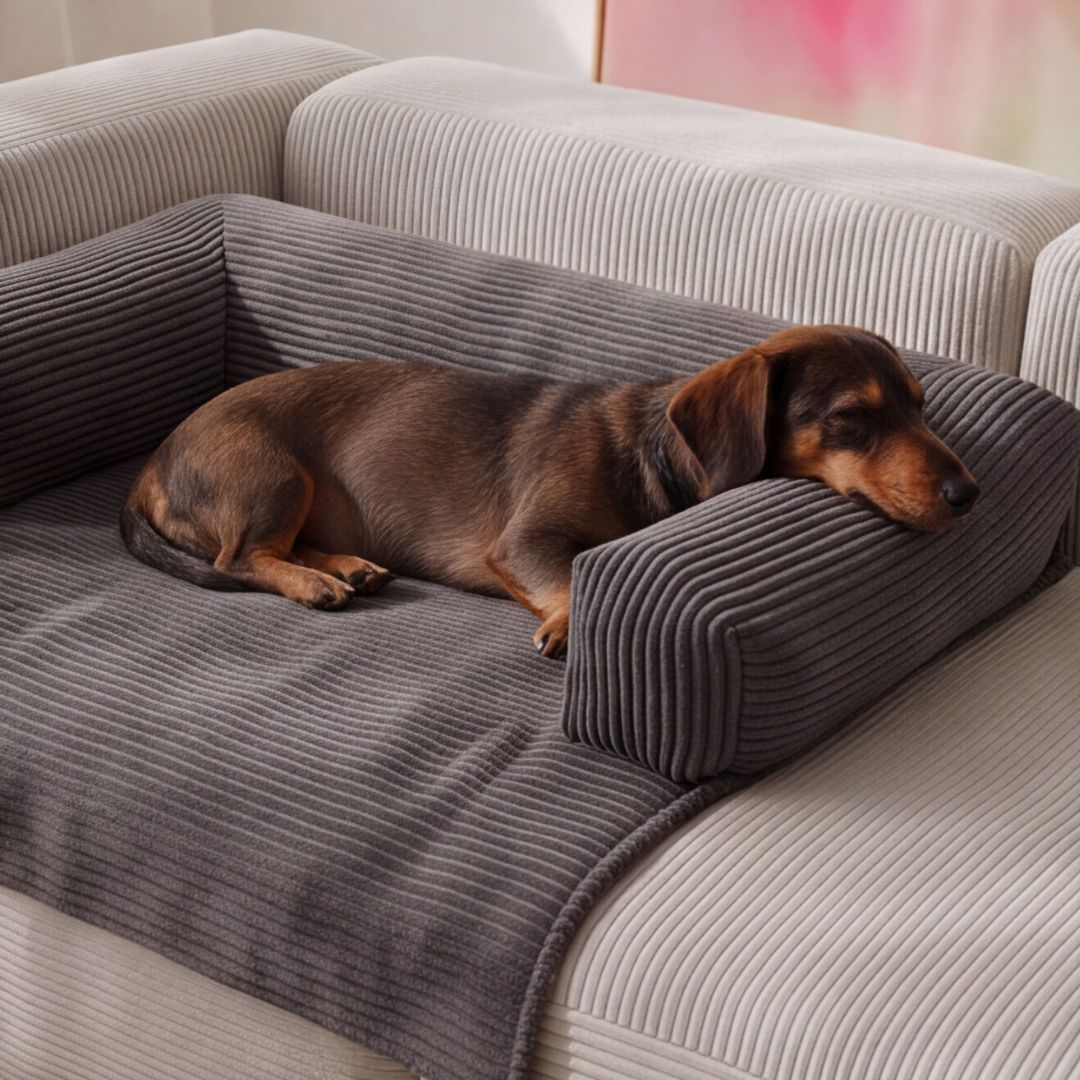 Hundedecke aus Cord von mokebo