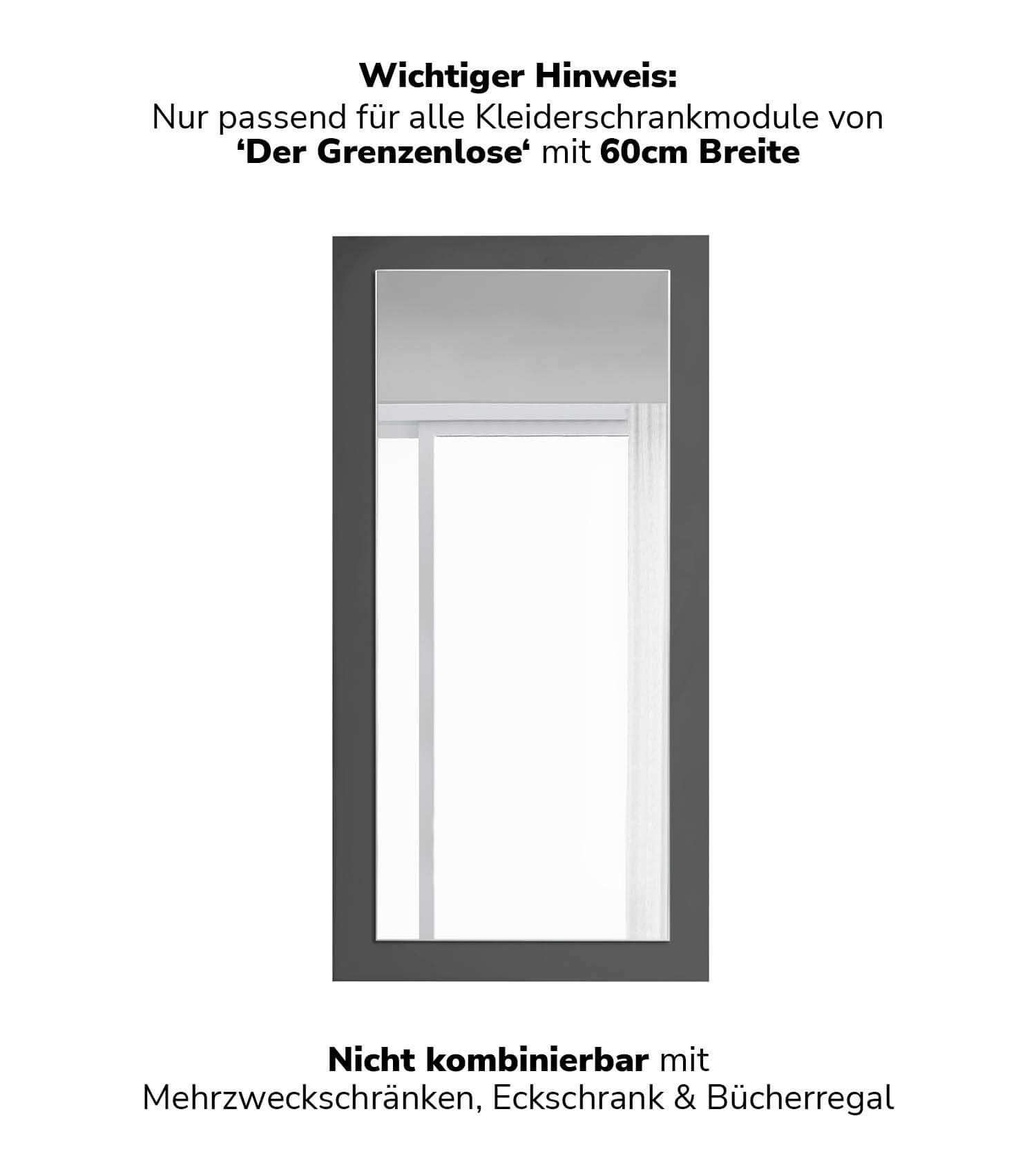 Kleiderschrank Spiegeltür Schranktür mit Spiegel Spiegelschrank Schrank