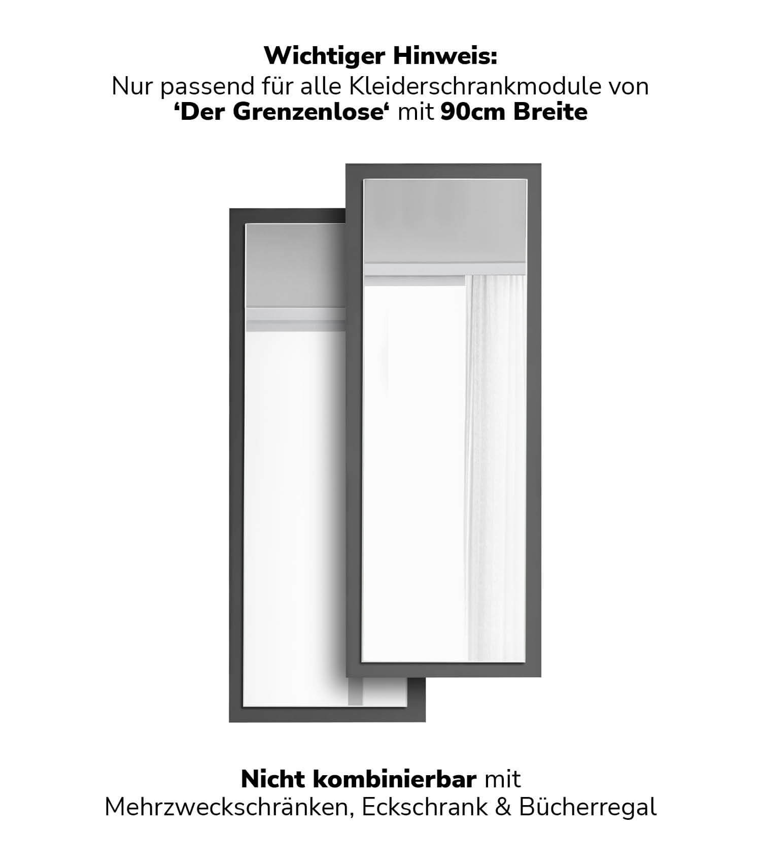 Kleiderschrank Spiegeltür Schranktür mit Spiegel Spiegelschrank Schrank