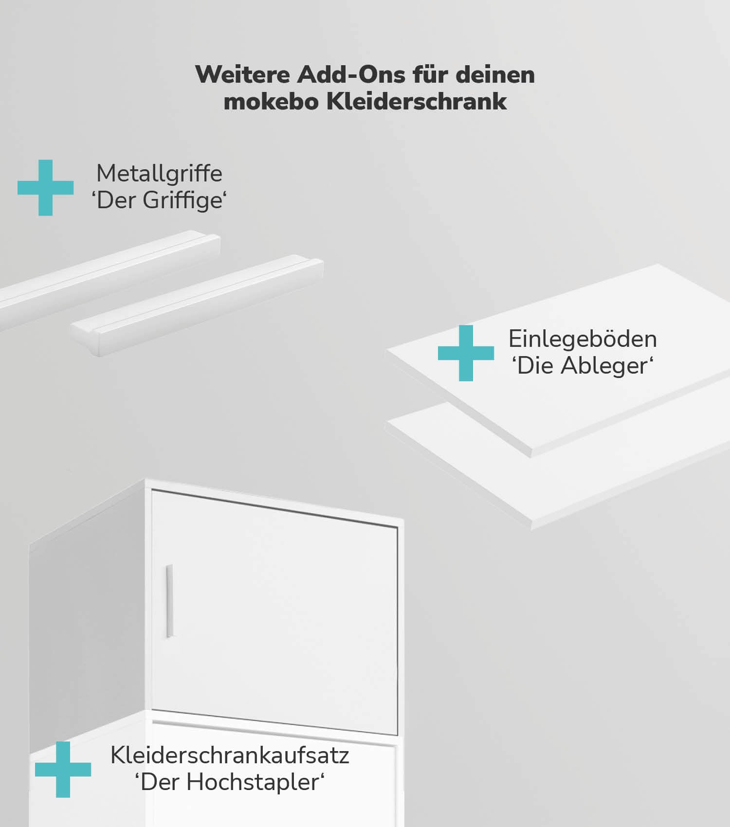 Kleiderschrank Spiegeltür Schranktür mit Spiegel Spiegelschrank Schrank