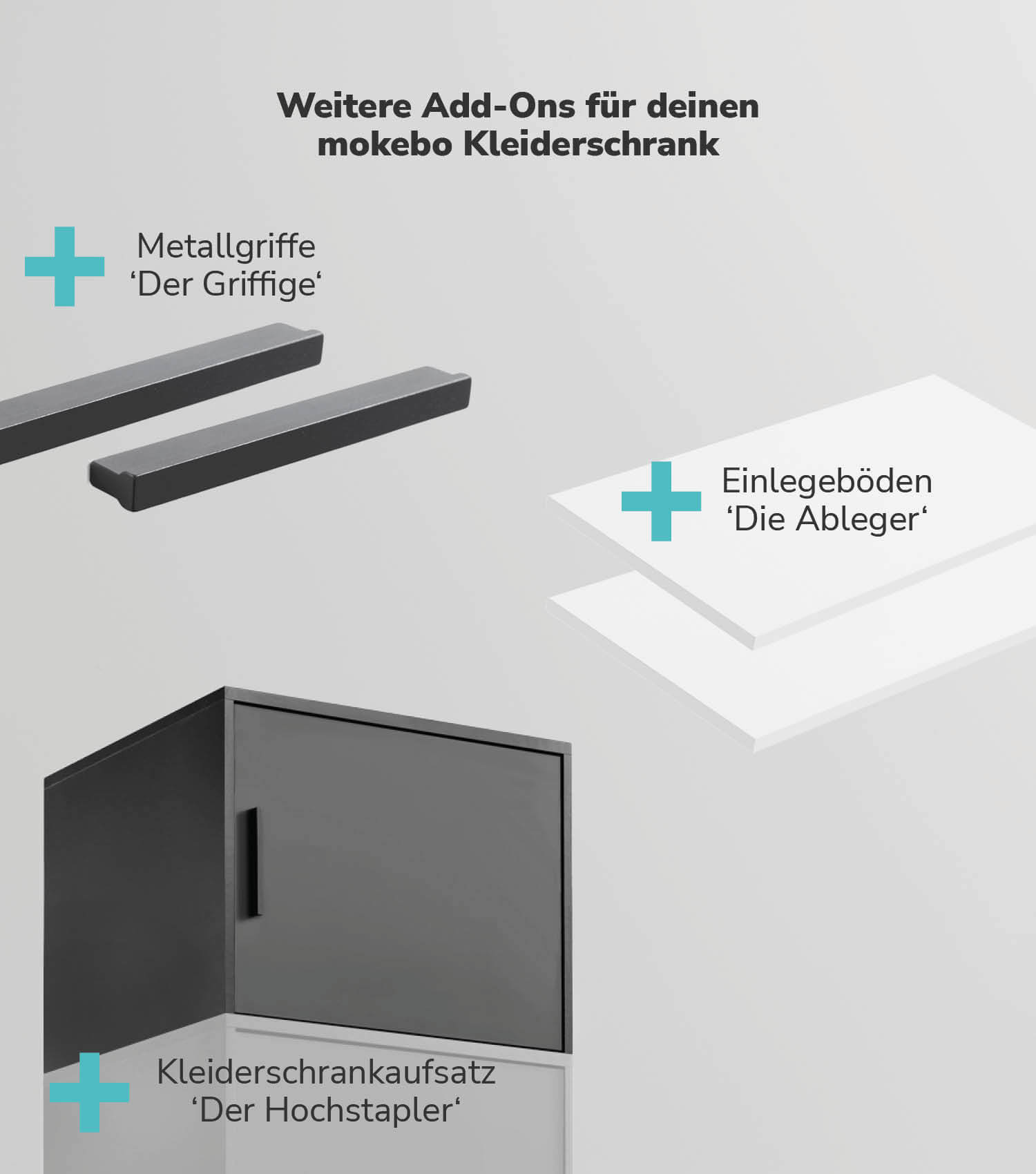 Kleiderschrank Spiegeltür Schranktür mit Spiegel Spiegelschrank Schrank