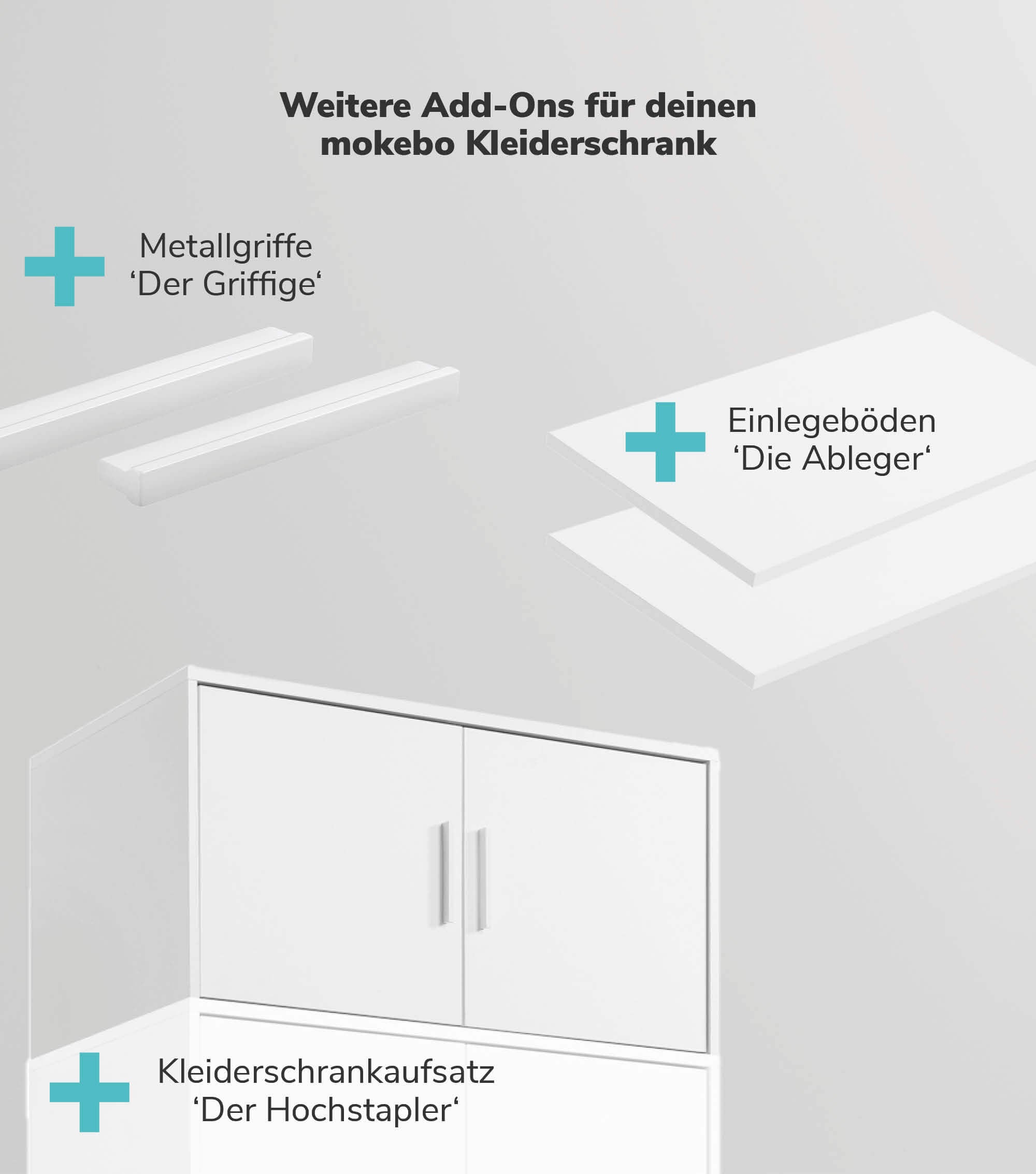 Kleiderschrank Spiegeltür Schranktür mit Spiegel Spiegelschrank Schrank