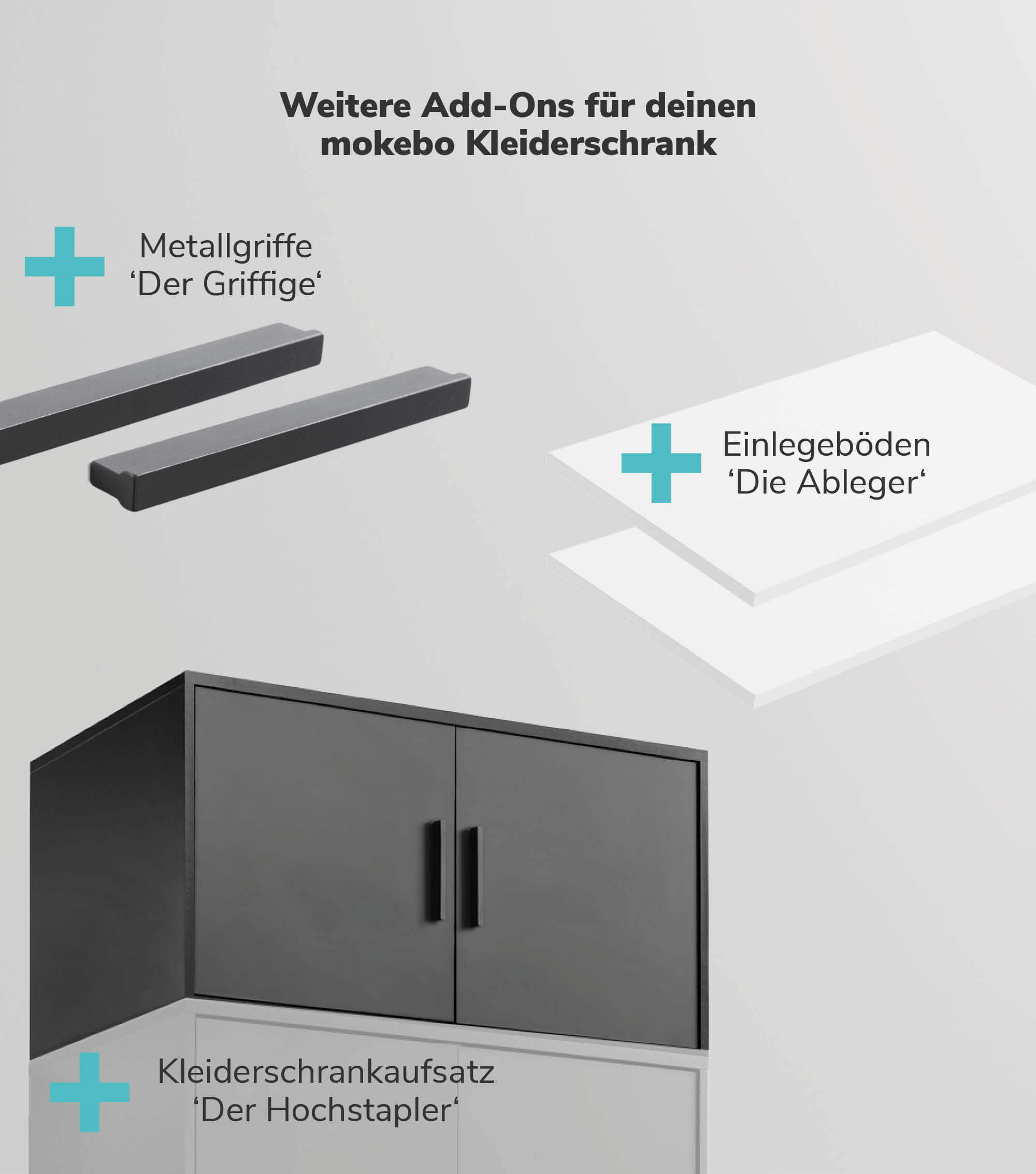 Kleiderschrank Spiegeltür Schranktür mit Spiegel Spiegelschrank Schrankt
